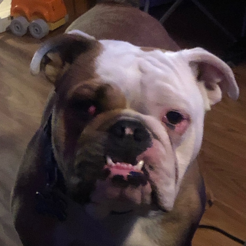 Meet your Posher, John